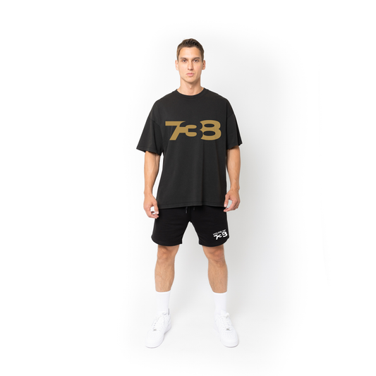 Lifestyle Super Heavyweight Oversized Premium Tee-Acid Black - 738 Men's Collection