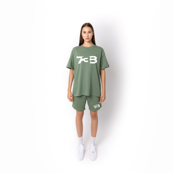 Lifestyle Super Heavyweight Oversized Premium Tee-Dusty Green - 738 Women's Collection