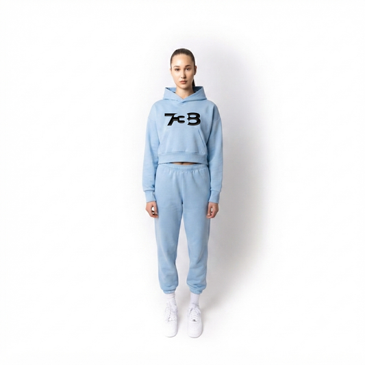 738 URBAN ESSENTIAL LIGHT BLUE DROPPED CROP HOODIE