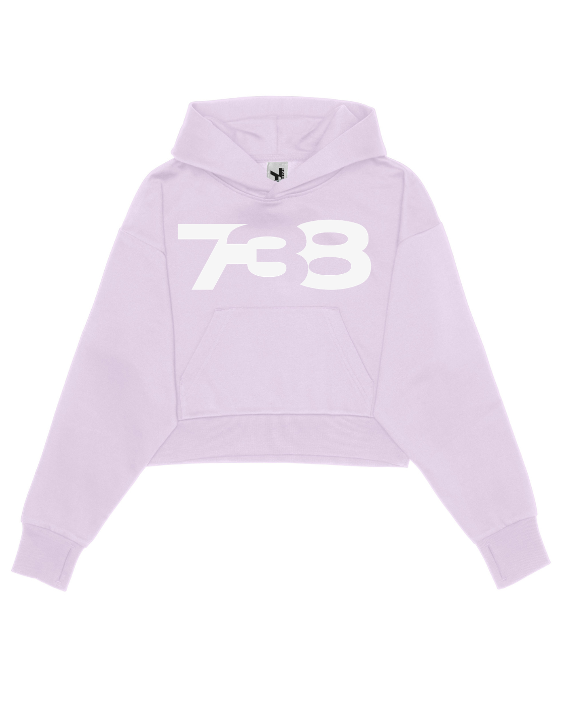 738 URBAN ESSENTIAL PURPLE DROPPED CROP HOODIE