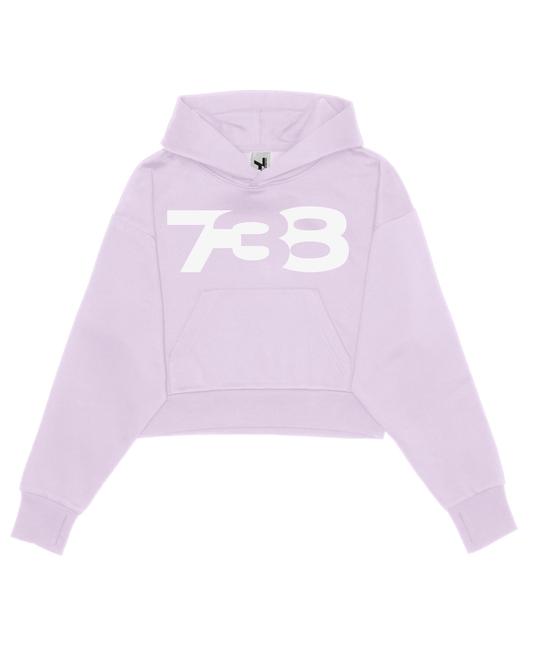 738 URBAN ESSENTIAL PURPLE DROPPED CROP HOODIE